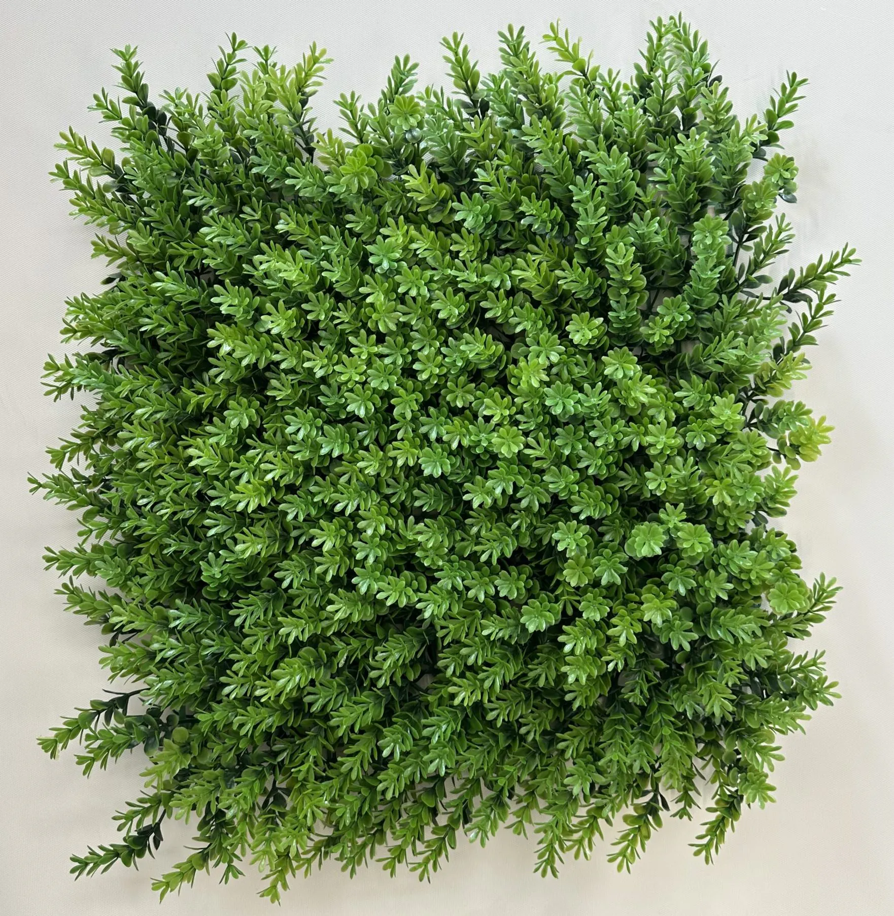گرین وال 50*50 شش برگ