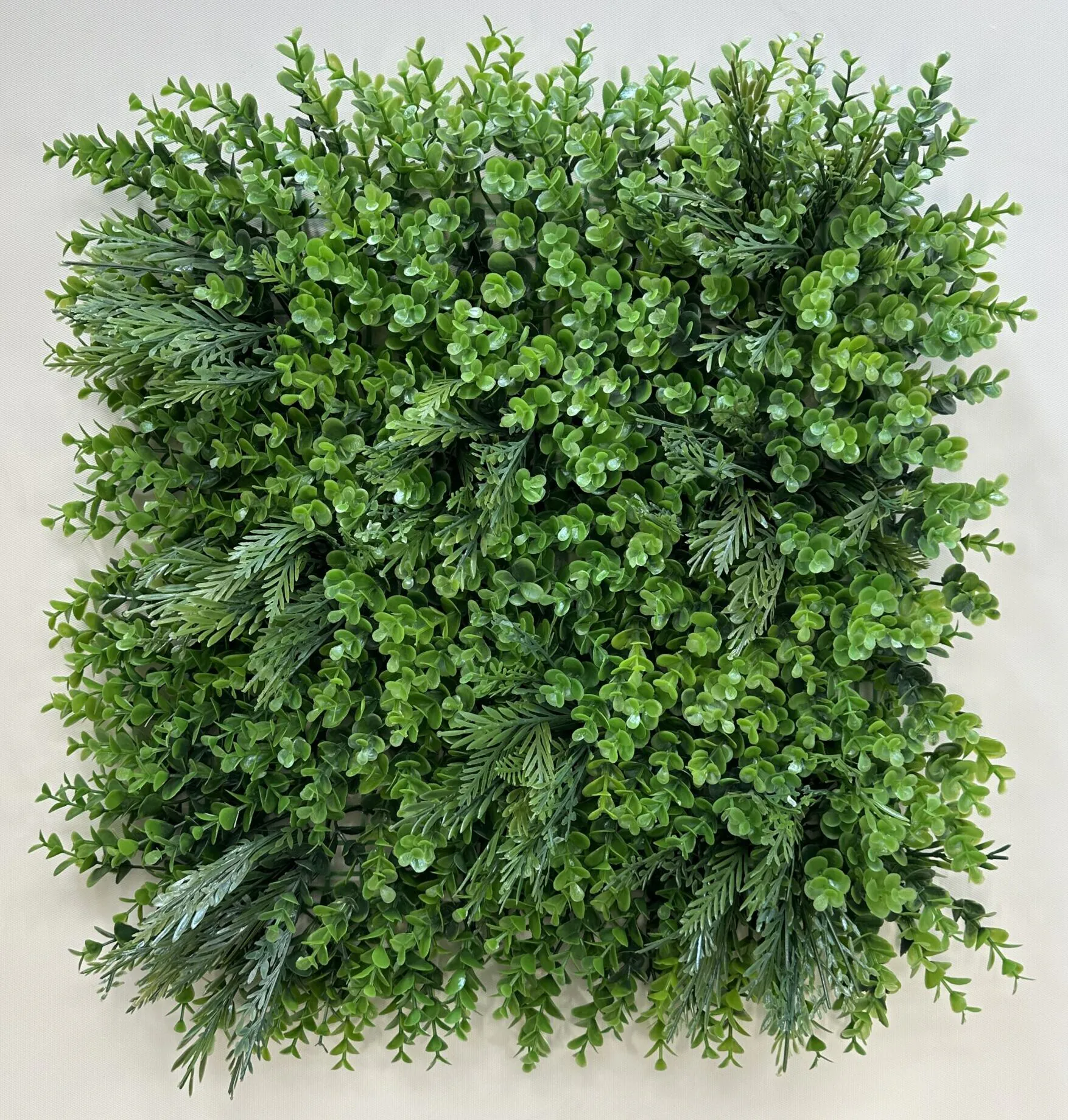 گرین وال 50*50 شمشاد ترکیبی