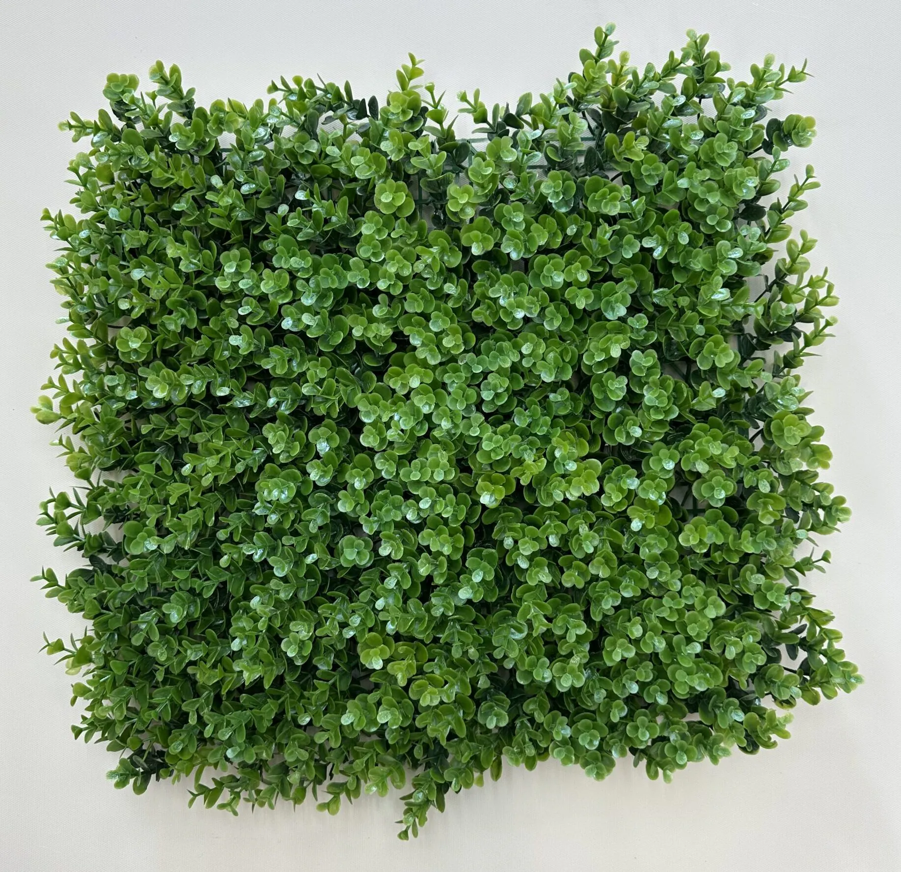 گرین وال 50*50 طرح شمشاد درشت