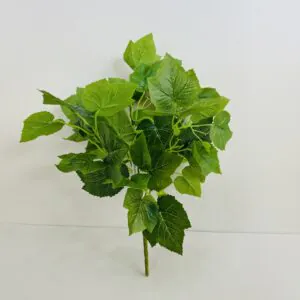 home بوته برگ انگور وارداتی