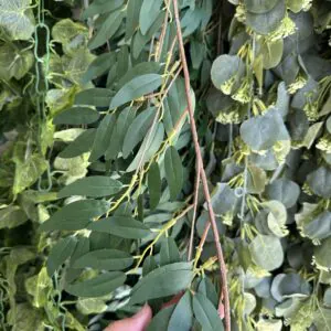 home ریسه آویز مصنوعی برگ زیتون وارداتی (170 سانتی)